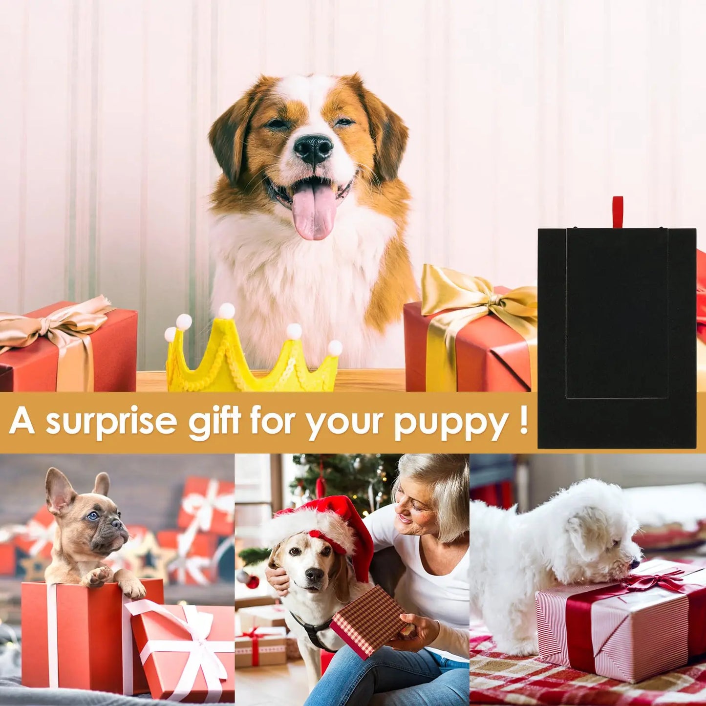 Dog Nail Scratching Board with Snack Box – Wooden Nail File Toy for Pet Grooming