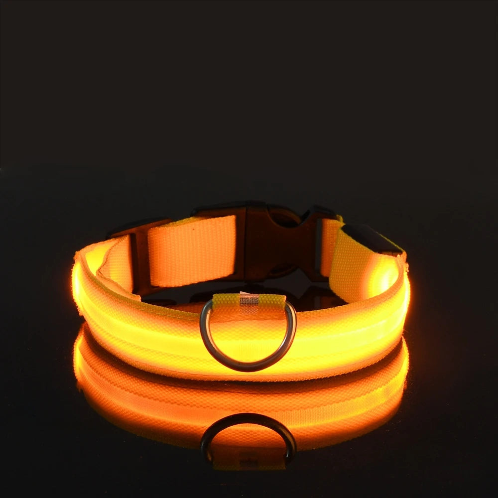 LED Night Safety Dog Leash – Luminous Fluorescent Nylon Collar for Dogs