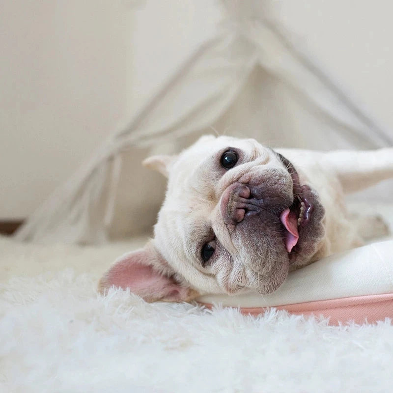 Fluffy Long Plush Pets Bed Blankets Pet Sleeping Mat Soft Cat Dog Blanket Comfortable Keep Warm Mats For Small Medium Large Dog