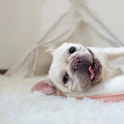 Fluffy Long Plush Pets Bed Blankets Pet Sleeping Mat Soft Cat Dog Blanket Comfortable Keep Warm Mats For Small Medium Large Dog