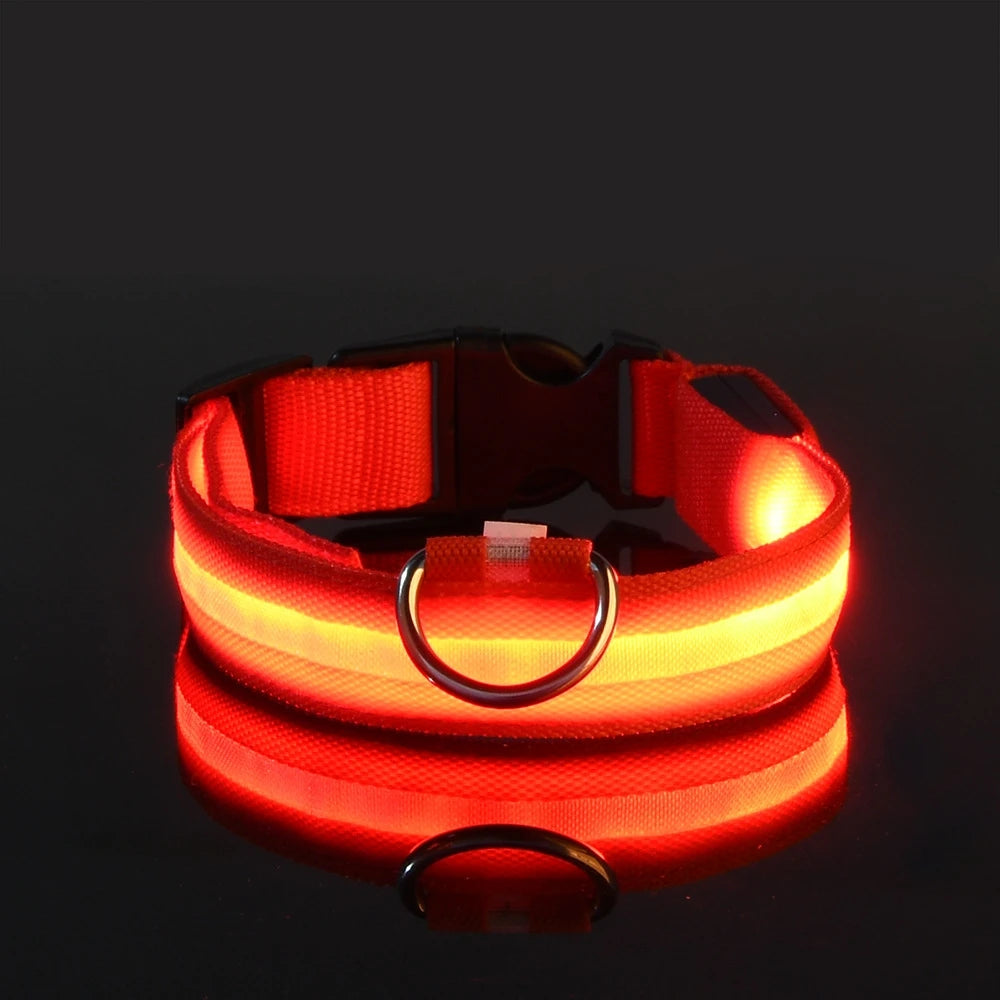 LED Night Safety Dog Leash – Luminous Fluorescent Nylon Collar for Dogs