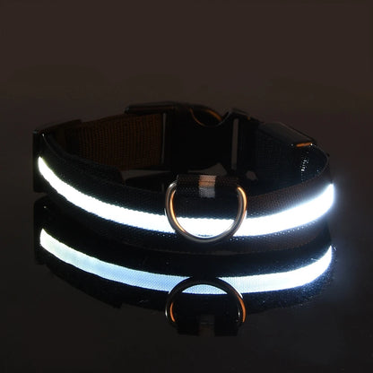 LED Night Safety Dog Leash – Luminous Fluorescent Nylon Collar for Dogs