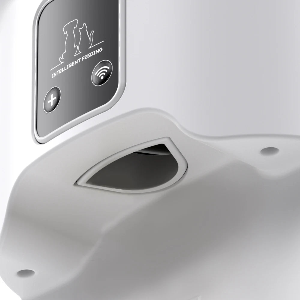 4L WIFI Button Automatic Cat Feeder Intelligent Cat and Dog Pet Feeder Smart Pet Cat Food Dispenser Pet Feeder(No 5V 1A plug)