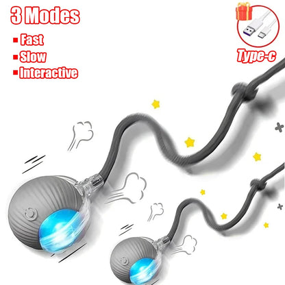 Rechargeable Interactive Cat Ball Toy – Automatic Rolling Smart Pet Toy with Faux Tail for Cats and Dogs