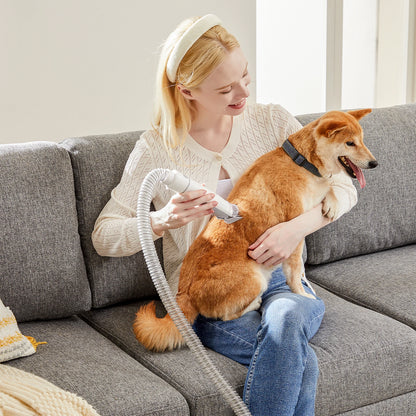 2.5L Pet Grooming Vacuum Kit – Cordless Low Noise Dog Clippers with 5 Tools and 3 Suction Modes