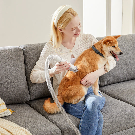 2.5L Pet Grooming Vacuum Kit – Cordless Low Noise Dog Clippers with 5 Tools and 3 Suction Modes