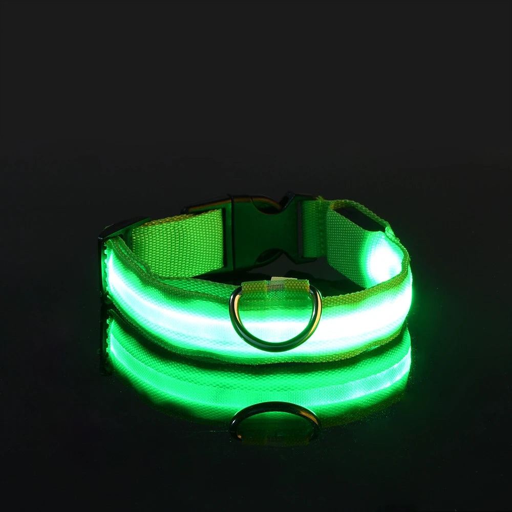 LED Night Safety Dog Leash – Luminous Fluorescent Nylon Collar for Dogs