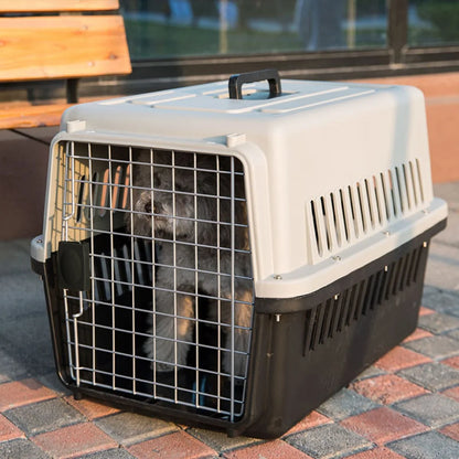 Portable Pet Carrier Crate – Plastic Travel Kennel for Dogs, Cats, Puppies and Rabbits (48×32×30cm)
