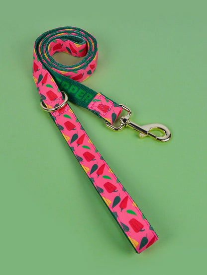 Valentine's Day and New Year Gifts for Dog Lovely Pet Traction Rope Double-Sided Printing Pet Dog And Cat