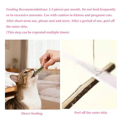6pcs Natural Matatabi Cat Stick Mint Caught Bite Excited Rods Silvervine For Cat Teeth Cleaning Treating Pet Supply Cat Toys
