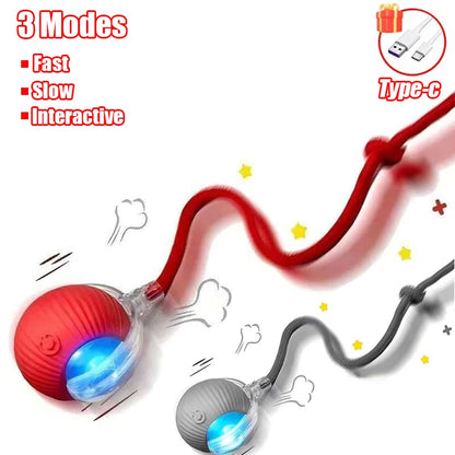 Rechargeable Interactive Cat Ball Toy – Automatic Rolling Smart Pet Toy with Faux Tail for Cats and Dogs
