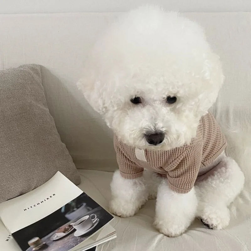 Soft Dog Shirt – Autumn Winter Cute Solid Color Pet Vest for Dogs and Cats