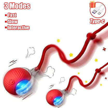 Rechargeable Interactive Cat Ball Toy – Automatic Rolling Smart Pet Toy with Faux Tail for Cats and Dogs