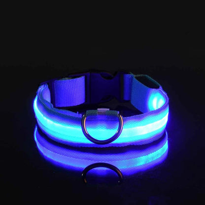 LED Night Safety Dog Leash – Luminous Fluorescent Nylon Collar for Dogs