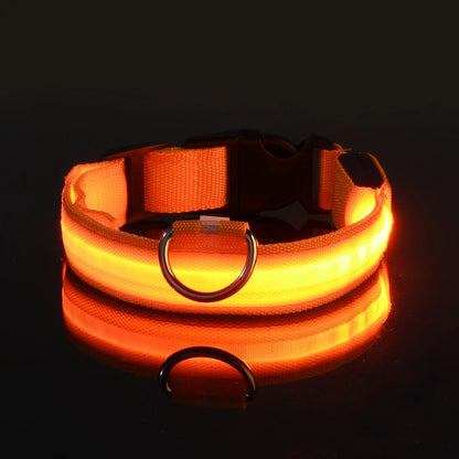 LED Night Safety Dog Leash – Luminous Fluorescent Nylon Collar for Dogs
