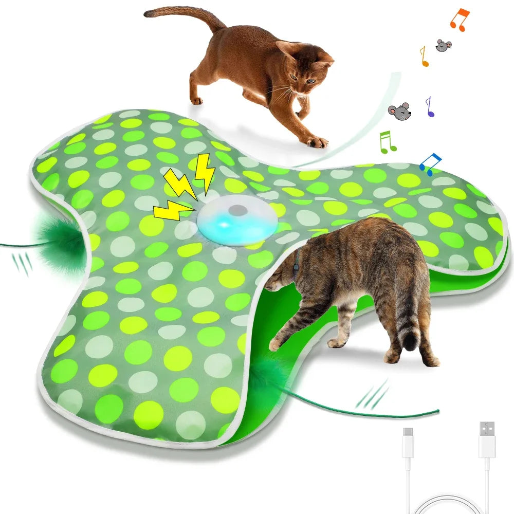 Interactive Hide and Seek Cat Toy – Motion Activated Mouse and Feather Teaser for Cats