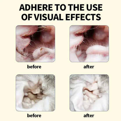 Pet ear wash Cats and dogs ear water cleaning ear mite ear drops ear drops Department care pet cleaning products