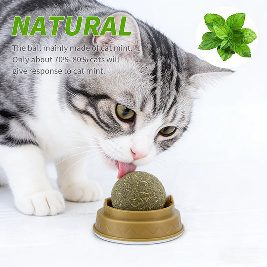 2-6PCS Cat Mint Toy Rotating Cat Mint Ball Baby Cat Snacks Cat Grass Plant Hair Transformation Cat Pet Products Catni