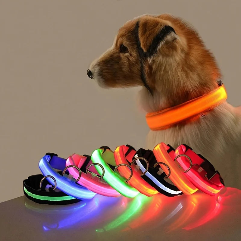 LED Night Safety Dog Leash – Luminous Fluorescent Nylon Collar for Dogs