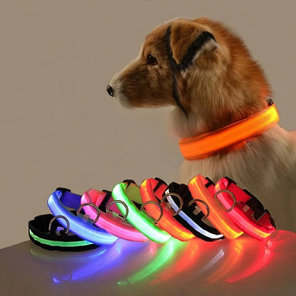 LED Night Safety Dog Leash – Luminous Fluorescent Nylon Collar for Dogs