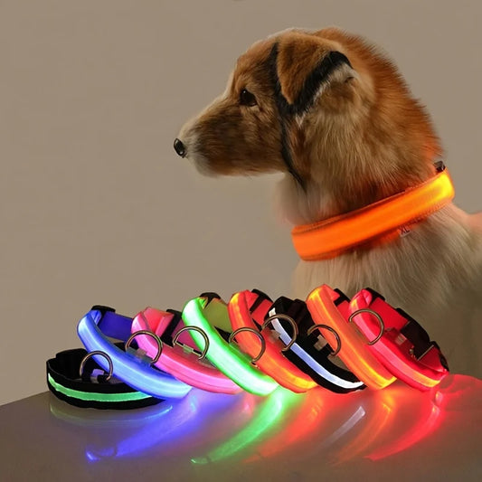 LED Night Safety Dog Leash – Luminous Fluorescent Nylon Collar for Dogs