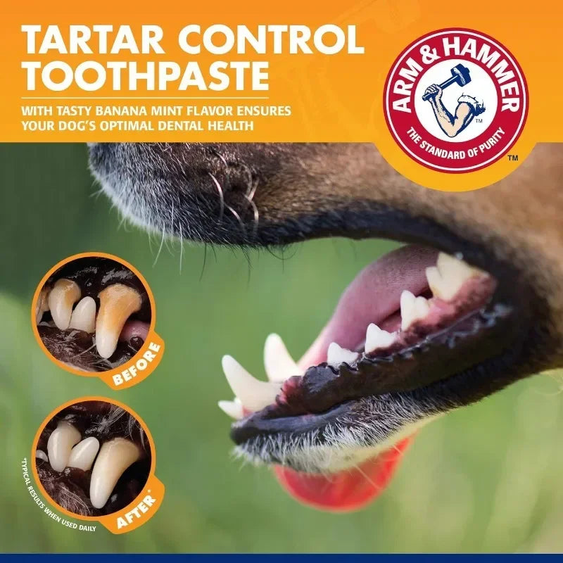 Pet Dental Care Kit – Toothpaste and Toothbrush Set for Dogs and Cats Plaque and Tartar Control