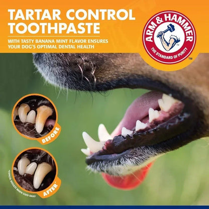Pet Dental Care Kit – Toothpaste and Toothbrush Set for Dogs and Cats Plaque and Tartar Control