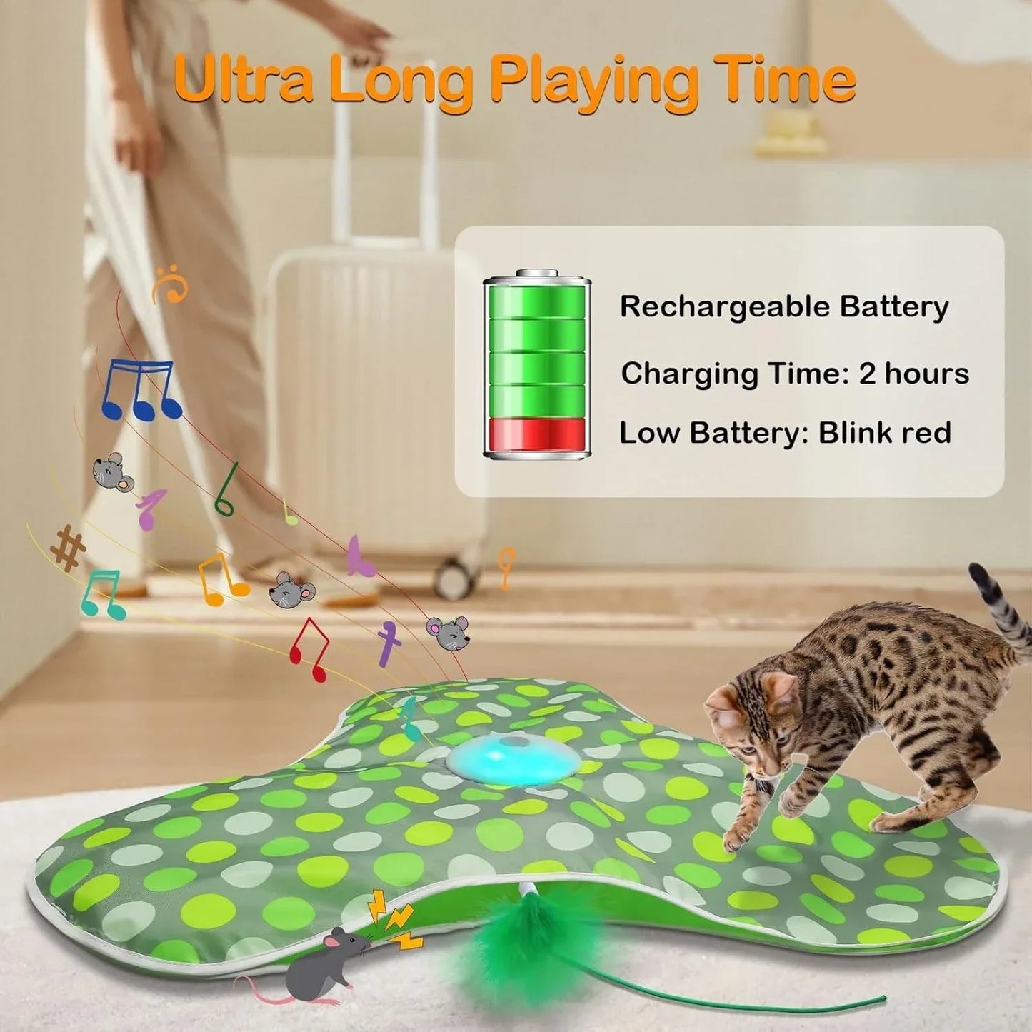 Interactive Hide and Seek Cat Toy – Motion Activated Mouse and Feather Teaser for Cats