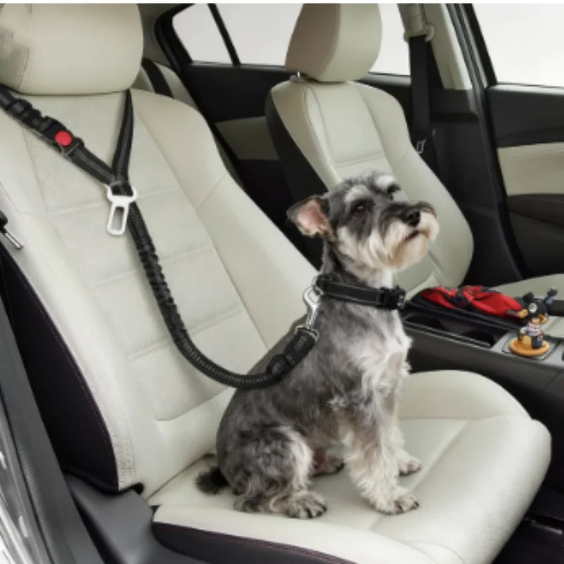 New Solid Two-in-one Dog Harness Leash Pet Car Seat Belt BackSeat Safety Belt Adjustable for Kitten Dogs Collar Pet Accessories