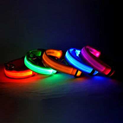 LED Night Safety Dog Leash – Luminous Fluorescent Nylon Collar for Dogs
