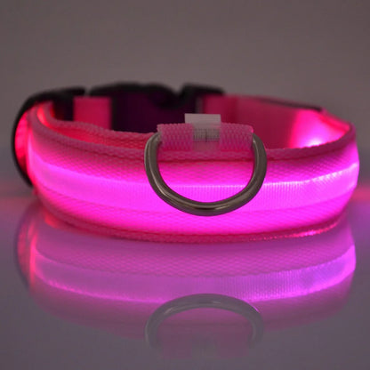 LED Night Safety Dog Leash – Luminous Fluorescent Nylon Collar for Dogs