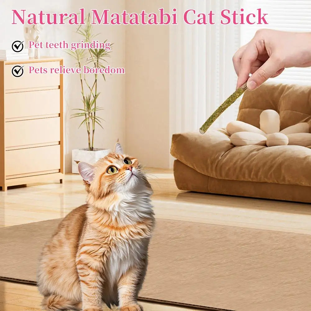 6pcs Natural Matatabi Cat Stick Mint Caught Bite Excited Rods Silvervine For Cat Teeth Cleaning Treating Pet Supply Cat Toys