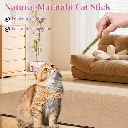 6pcs Natural Matatabi Cat Stick Mint Caught Bite Excited Rods Silvervine For Cat Teeth Cleaning Treating Pet Supply Cat Toys