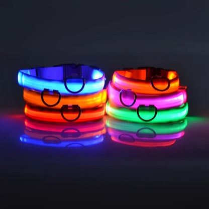 LED Night Safety Dog Leash – Luminous Fluorescent Nylon Collar for Dogs
