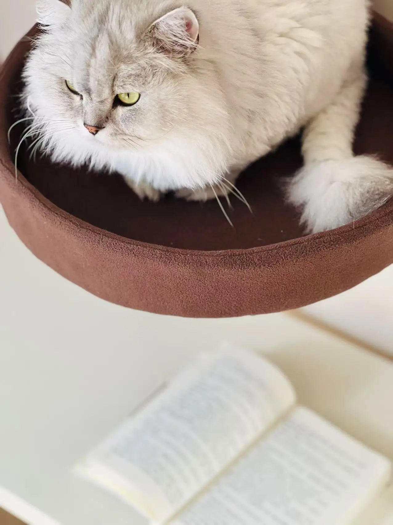 Desktop Cat Bed Round Indoor Cats Comfortable Soft Desk Nest Pet Bed for Kitten Adjustable Height Cat Climbing Frame for Desk