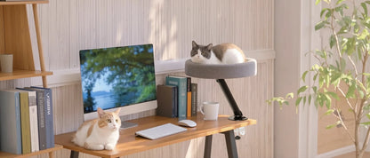 Desktop Cat Bed Round Indoor Cats Comfortable Soft Desk Nest Pet Bed for Kitten Adjustable Height Cat Climbing Frame for Desk