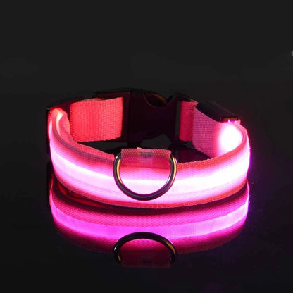 LED Night Safety Dog Leash – Luminous Fluorescent Nylon Collar for Dogs