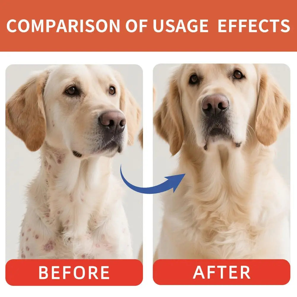 Bacon Flavor Pet Mushroom Powder – Daily Appetite Enhancer for Picky Cats and Dogs