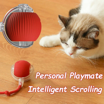 Rechargeable Interactive Cat Ball Toy – Automatic Rolling Smart Pet Toy with Faux Tail for Cats and Dogs