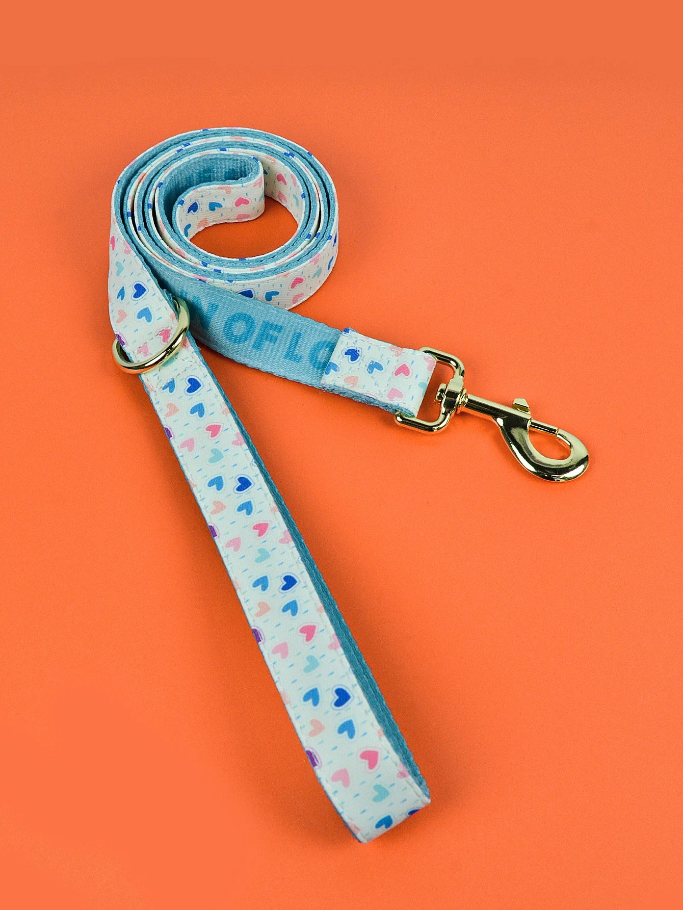 Valentine's Day and New Year Gifts for Dog Lovely Pet Traction Rope Double-Sided Printing Pet Dog And Cat
