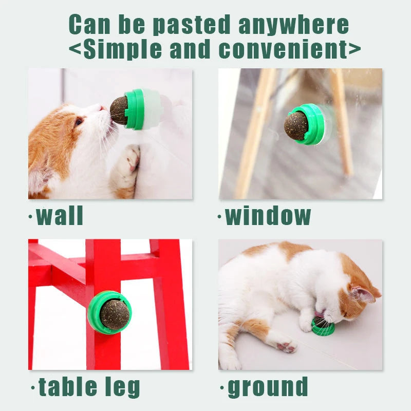 Catnip Balls Funny Lickable Cat Snack Catnip Balls Kitten Playing Chewing Cleaning Teeth Toy For Small Medium Cats pet supplies