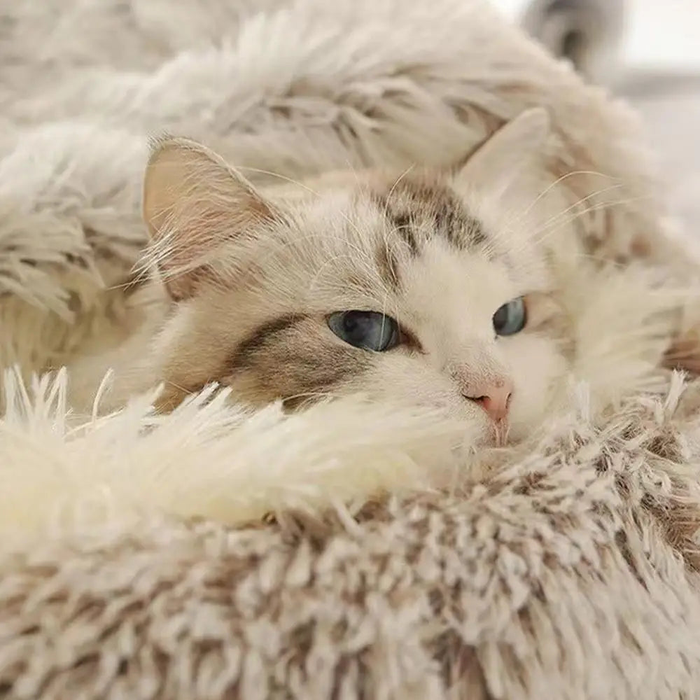 Semi Enclosed Winter Cat Bed – Warm Fluffy Washable Cat Cave Sleeping Bag for Kittens and Puppies