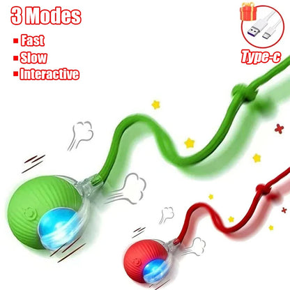 Rechargeable Interactive Cat Ball Toy – Automatic Rolling Smart Pet Toy with Faux Tail for Cats and Dogs