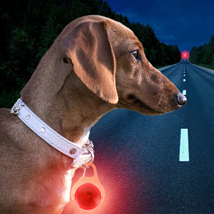 LED Glow Dog Collar Pendant – Light Up Night Safety Accessory for Dogs and Cats