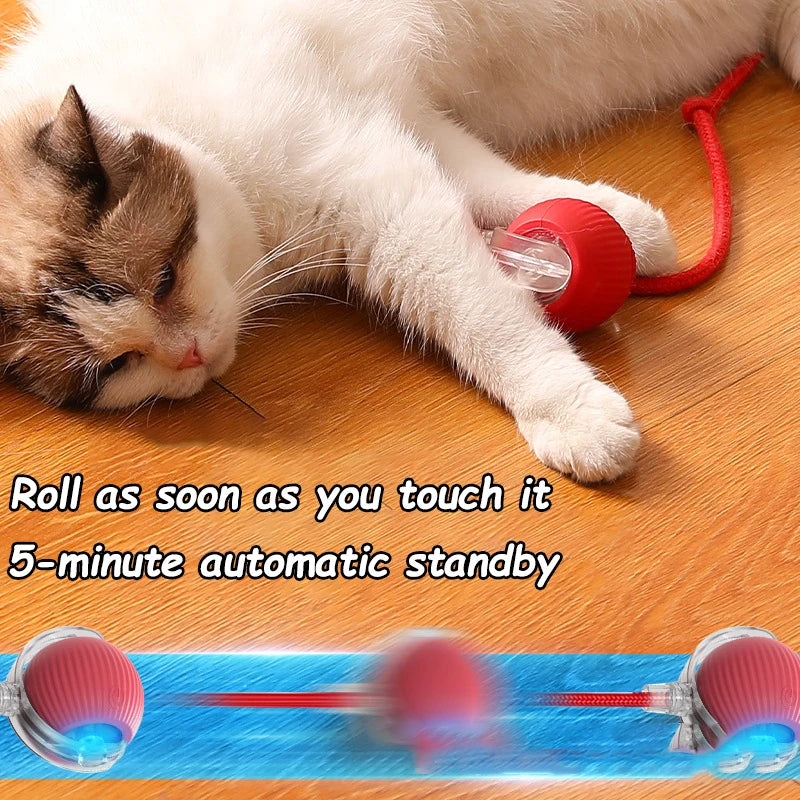 Rechargeable Interactive Cat Ball Toy – Automatic Rolling Smart Pet Toy with Faux Tail for Cats and Dogs