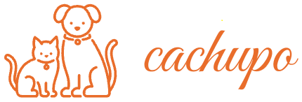 Cachupo